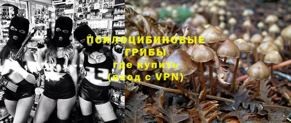 герыч Вяземский