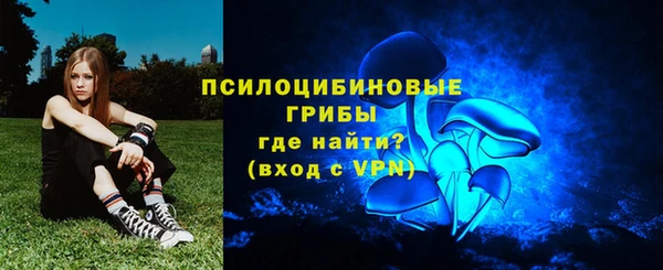 мяу мяу мука Вязьма