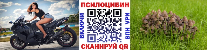 Псилоцибиновые грибы ЛСД  Зеленогорск 