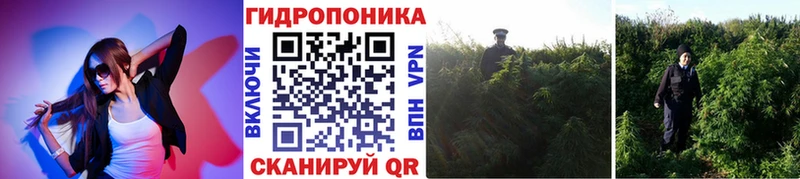 МАРИХУАНА индика Зеленогорск